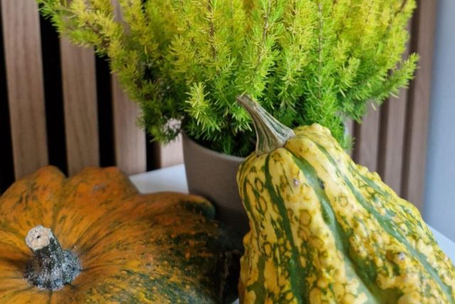 Nie daj się jesieni - Twój mikrobiom wie, jak Cię obronić